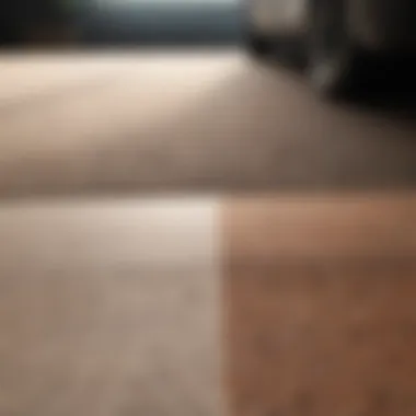 Effective Stain Removal Results Before and after comparison of a carpet stain removal