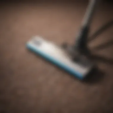 Expert Carpet Cleaning Techniques Guide for proper carpet cleaning techniques with a shampooer