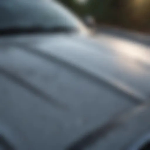 Close-up of a car hood with a visible scratch highlighting the damage