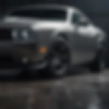 Challenger Grey reflecting different light angles.