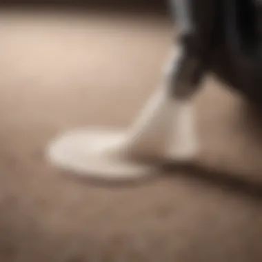 Close-up view of a carpet stain being treated with a degreaser