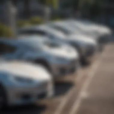 Different types of Tesla chargers displayed side by side