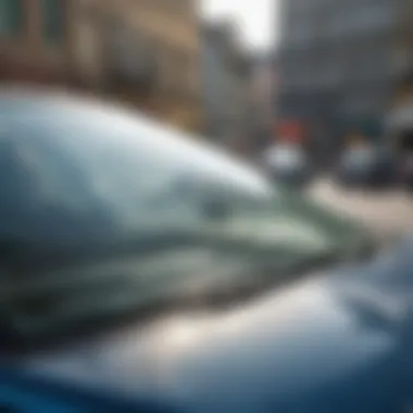An infographic detailing windshield damage types